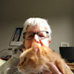 Meet your Posher, Ellis